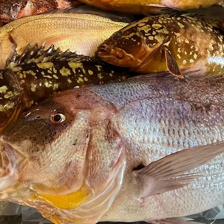 Al Pescatore & Restaurant ホテル ガリポリ