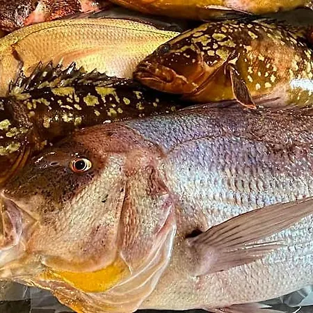 Hotel Al Pescatore & Restaurant Gallipoli